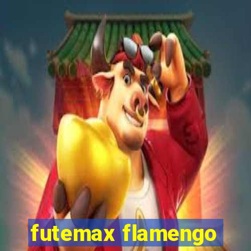 futemax flamengo-fluminense